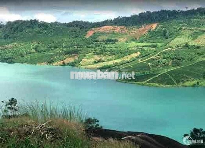 Cắt lỗ 40% giá trị đất 910m2 sang tên nhanh, view có hồ và rừng thông