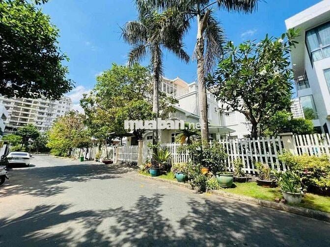 cho thuê biệt thự mỹ gia nghỉ dưỡng thoáng mát