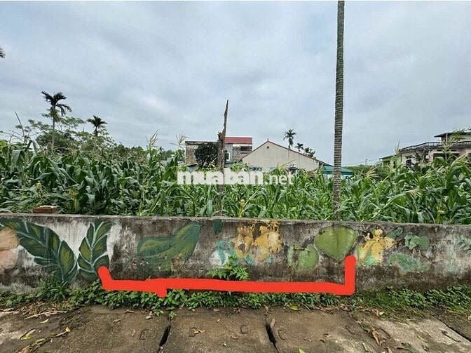 100M2, FULL ĐẤT Ở, TRỤC CHÍNH, GIÁ NHỈNH 3 TỶ