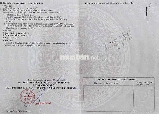 Cần bán gấp đất thới hoà bến cát Giá chỉ 1tỷ2xx , hỗ trợ vay 80%