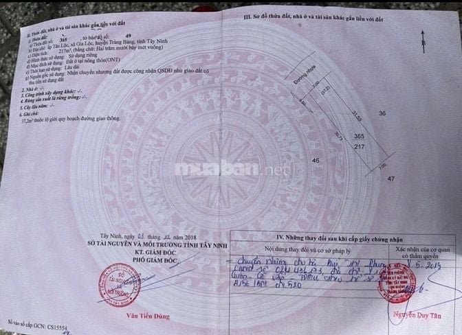 Kinh tế Khó Khăn CHủ Cần bán nhanh Căn nhà ngay Trang Bàng 217m2 SHR