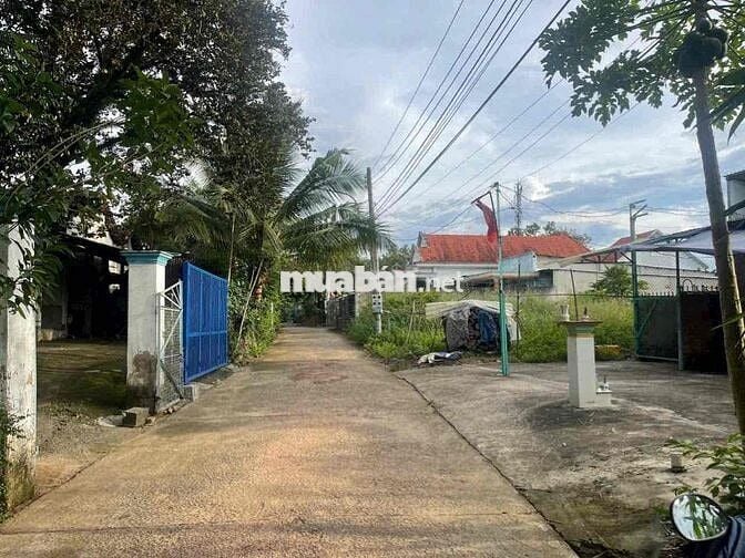 Cần bán gấp đất thới hoà bến cát Giá chỉ 1tỷ2xx , hỗ trợ vay 80%