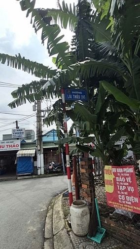 BÁN ĐẤT LÁI THIÊU 105, THUẬN AN, BÌNH DƯƠNG