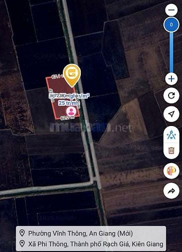 Cần bán gấp đất ruộng phi thông 