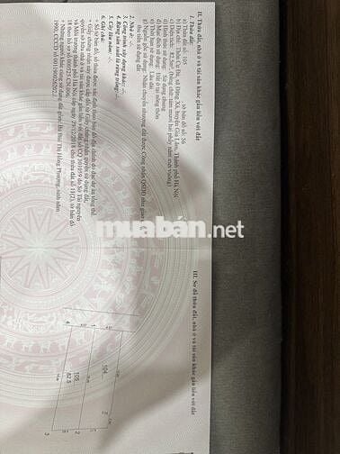 Chính chủ bán đất 82.5m² tại Đặng Xá – Gia Lâm, đường ô tô, sổ đỏ sẵn