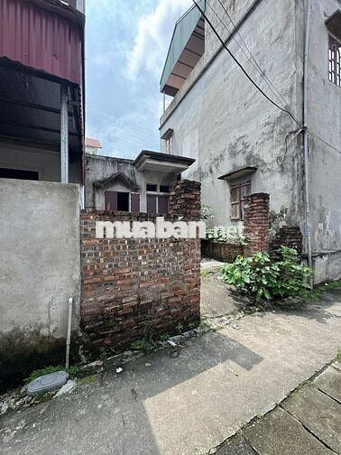 Chính chủ bán đất 82.5m² tại Đặng Xá – Gia Lâm, đường ô tô, sổ đỏ sẵn