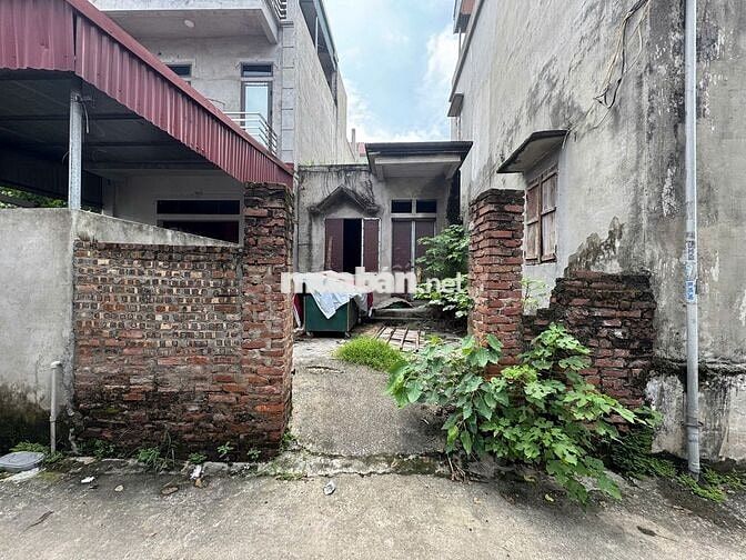 Chính chủ bán đất 82.5m² tại Đặng Xá – Gia Lâm, đường ô tô, sổ đỏ sẵn