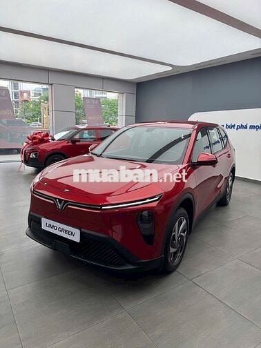 Xe điện Vinfast Miền Nam - em Phương