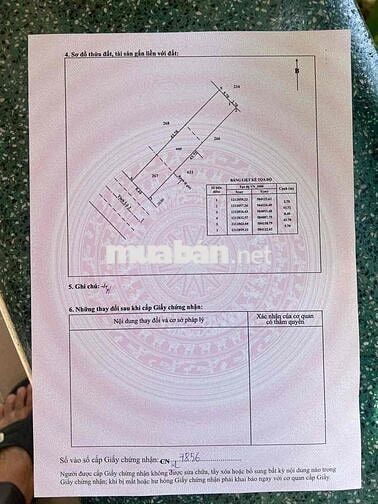 bán 450m2 đất mặt tiền tl2. xã củ chi mới