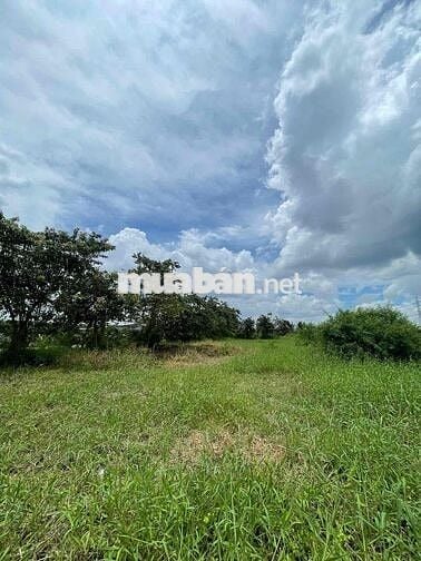 ❌❌Mặt tiền Lê Văn Cảng An Vĩnh Ngãi - DT: 20x85m~1700m2 có 600m2 thổ 💰