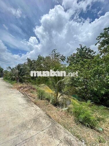 ❌❌Mặt tiền Lê Văn Cảng An Vĩnh Ngãi - DT: 20x85m~1700m2 có 600m2 thổ 💰