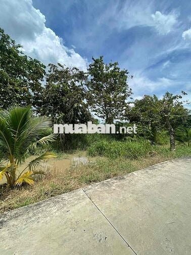 ❌❌Mặt tiền Lê Văn Cảng An Vĩnh Ngãi - DT: 20x85m~1700m2 có 600m2 thổ 💰