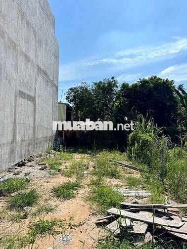 Cắt lỗ Bán gấp đất Tỉnh Lộ 7, Xã Thái Mỹ, 860 triệu, (5x19)97 m2 SHR