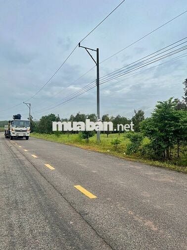 Bán Ngộp Nhà Cấp 4 và Vườn Cây ăn trái, diện tích 1000m2_Giá 550 triệu