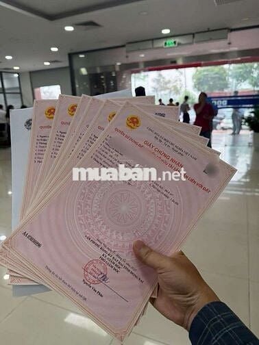 Vị trí vàng P. Hố Nai – ngay Nhà Thờ Lộ Đức, trung tâm Biên Hòa