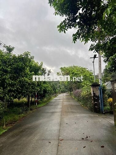 Bán Đất Gần Chợ, Diện tích 1000m2 Đất Vườn Có Thổ 200m2, Giá 490 triệu