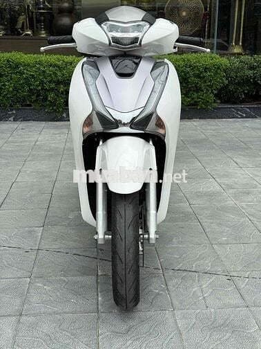 Bạch công tử Sh 2018 hồ sơ sẵn về bấm biển mới