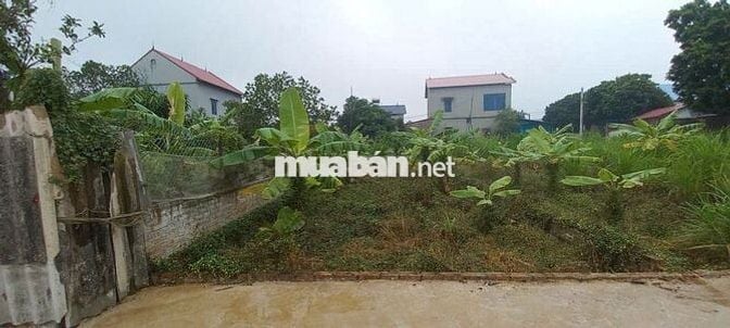 💥SIÊU PHẨM 80M² ĐỒNG CHẦM – TIÊN DƯỢC – NGÕ Ô TÔ – GIÁ CHỈ  2,1TỶ💥