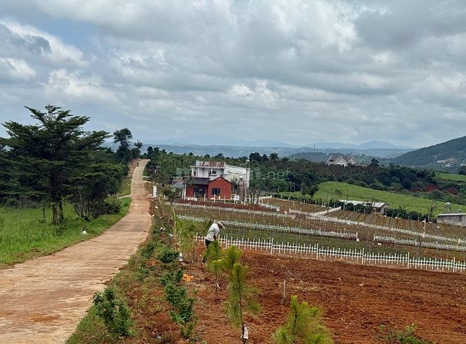 Đất Ven Đà Lạt Giá Chỉ 620 Triệu, SHR, View đồi Thông Mát Mẻ