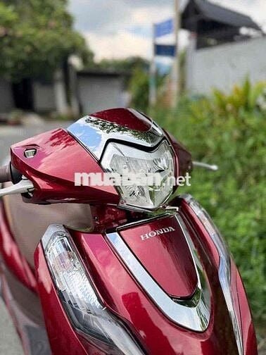 lead 2025 4val 5 ngàn cây bstp chính chủ