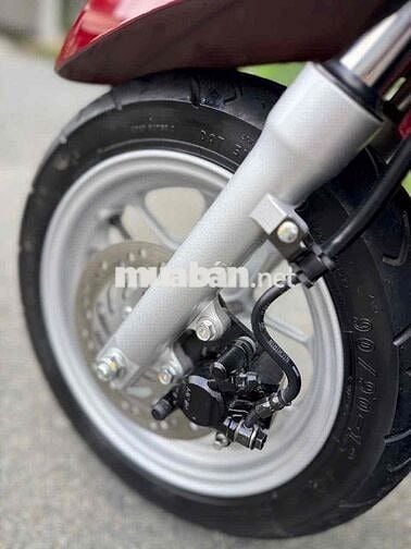 lead 2025 4val 5 ngàn cây bstp chính chủ