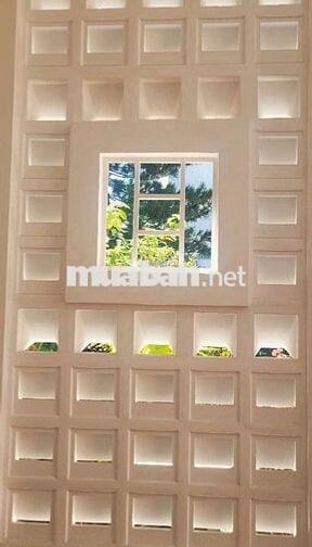 Sở hữu ngay không gian Modern Tropical giữa lòng Sài Gòn!🌴🌴