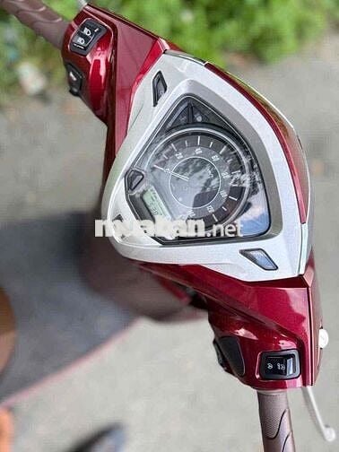 lead 2025 4val 5 ngàn cây bstp chính chủ