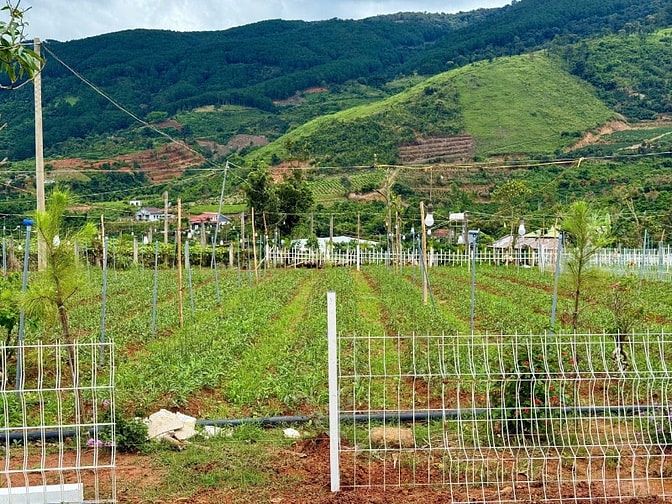 Đất Ven Đà Lạt Giá Chỉ 620 Triệu, SHR, View đồi Thông Mát Mẻ