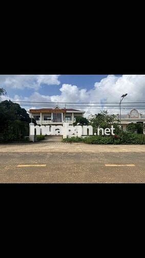 Đất Chính Chủ - Đường bên hông Chợ Trà Đa