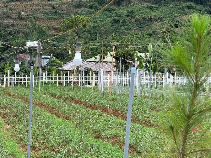 Đất Ven Đà Lạt Giá Chỉ 620 Triệu, SHR, View đồi Thông Mát Mẻ