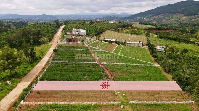 Đất Ven Đà Lạt Giá Chỉ 620 Triệu, SHR, View đồi Thông Mát Mẻ
