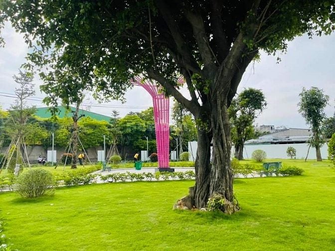 Bán căn hộ chung cư 52m2, 1.62 tỷ tại Iris Tower, Bình Hòa, Thuận 