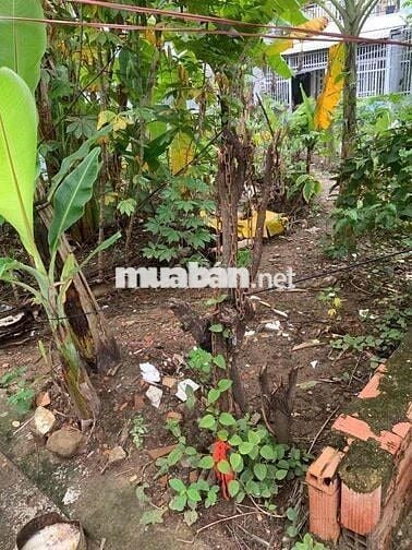 Bán gấp nền đất 2 mặt tiền đường Nguyễn Hữu Trí