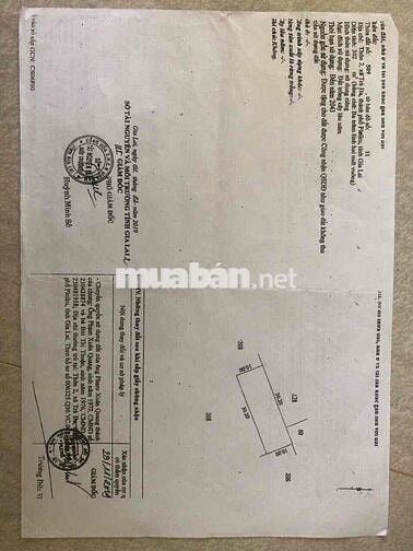 Đất Chính Chủ - Đường bên hông Chợ Trà Đa