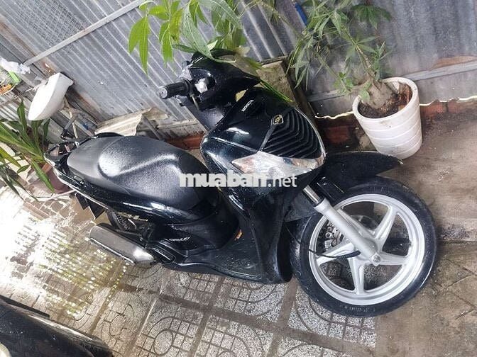 XE SH Ý 2007, NGUYÊN BẢN