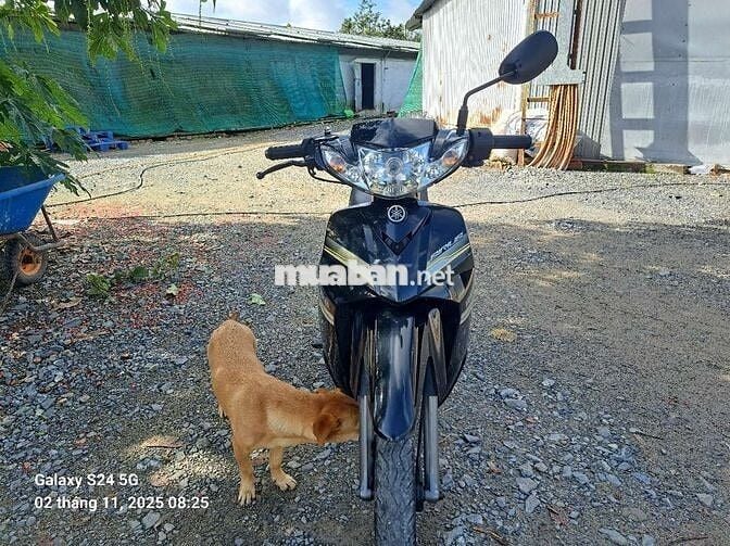 Sirius zin đẹp mới tin chạy 23 ngàn