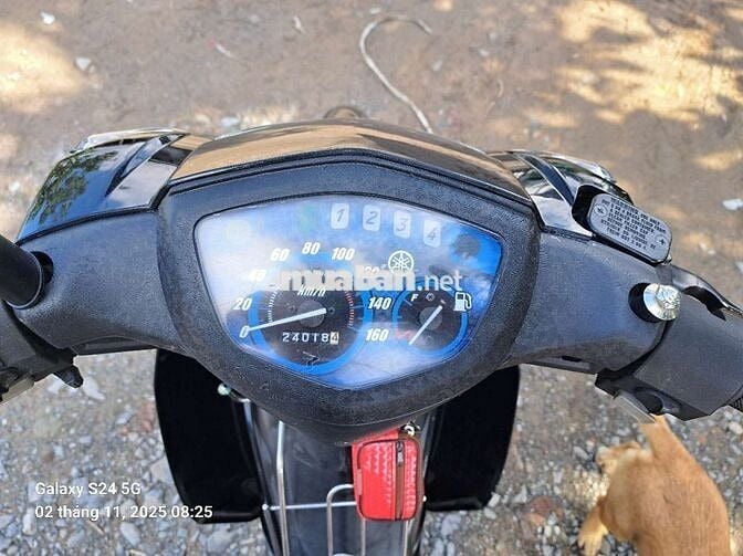 Sirius zin đẹp mới tin chạy 23 ngàn