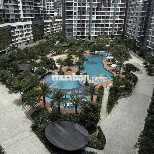 CHUYÊN CHO THUÊ CĂN HỘ CELADON CITY 2PN 2WC . GIÁ 15tr (Full nội thất)