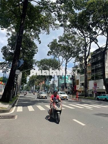 120tr Nguyên Căn 12x20 Trần Hưng Đạo Q1 - Phù Hợp Showroom, Quán Nhậu