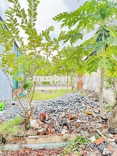 CHÍNH CHỦ CẦN BÁN LÔ ĐẤT MẶT TIỀN QUỐC LỘ 1A – SUỐI HIỆP, DIÊN KHÁNH