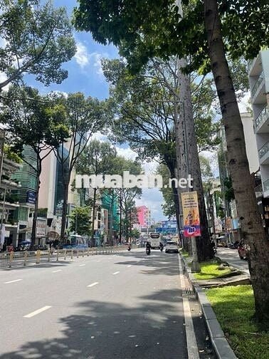 120tr Nguyên Căn 12x20 Trần Hưng Đạo Q1 - Phù Hợp Showroom, Quán Nhậu