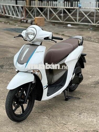 xe zanut đẹp keng