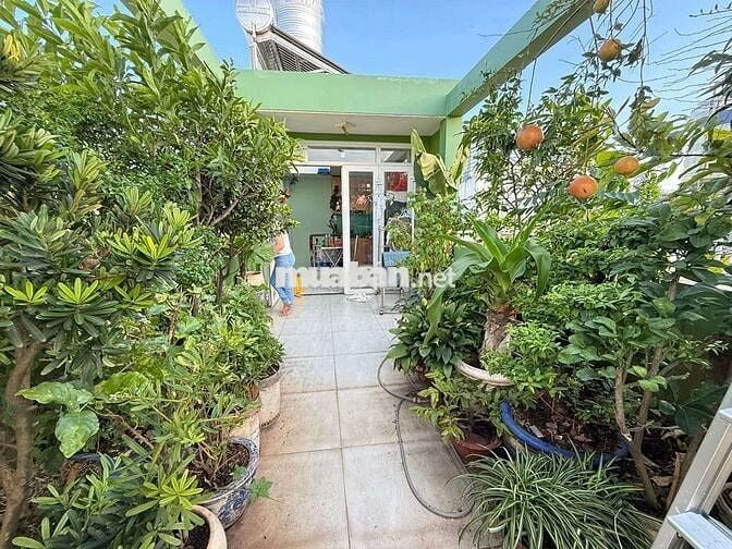 CƯ XÁ NGUYỄN TRUNG TRỰC Q10(3/2-THÀNH THÁI)-HẺM ÔTÔ THÔNG-5TẦNG BTCT