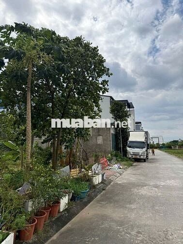 Chính Chủ Cần Bán lô 86M Đất Đấu giá Mả Tre 2 Tại Xã Bình Minh, Hà Nội