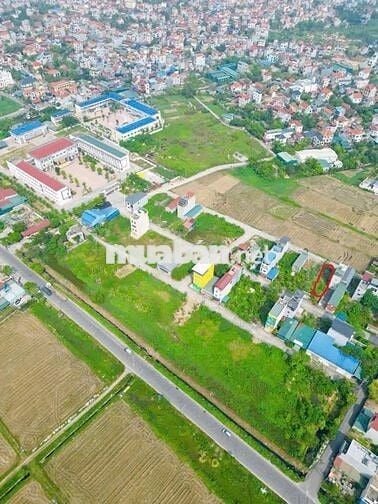 Chính Chủ Cần Bán lô 86M Đất Đấu giá Mả Tre 2 Tại Xã Bình Minh, Hà Nội