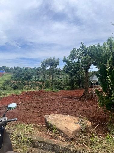 Cách DT725 900m, bán 576m2 đất Nam Ban, ngang 18m, SHR