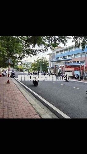 2.590 TỎI. MẶT TIỀN HUỲNH THỊ CHẤU