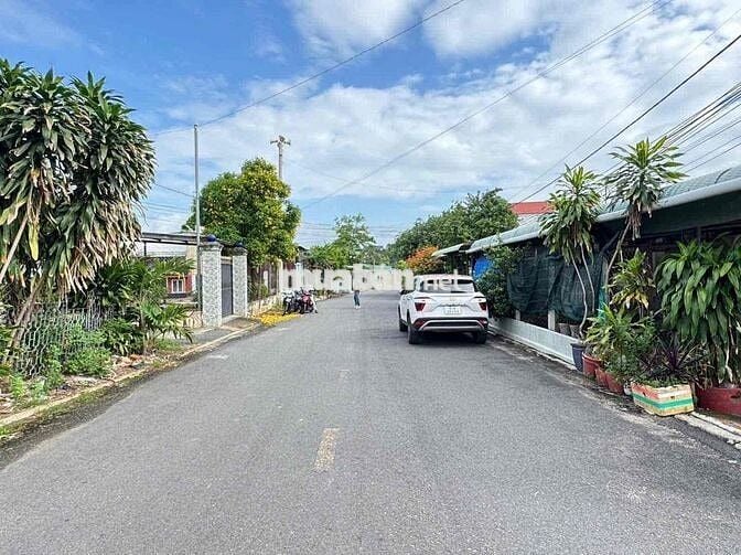 2.590 TỎI. MẶT TIỀN HUỲNH THỊ CHẤU