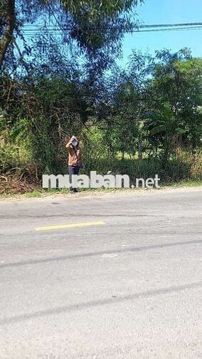 Bán lô đất có sổ có nhà cây ăn trái ngay đường tỉnh liên kết toàn vùng