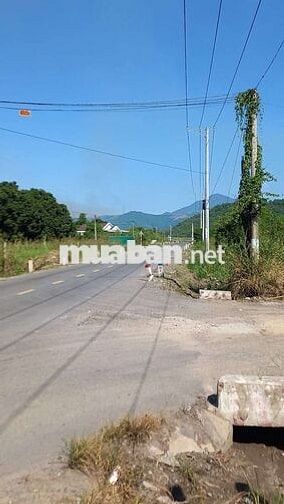 Bán lô đất có sổ có nhà cây ăn trái ngay đường tỉnh liên kết toàn vùng